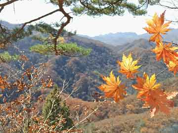 京魯大戰(zhàn)最新消息，兩大豪門(mén)爭(zhēng)鋒對(duì)決，誰(shuí)將成為新的霸主？